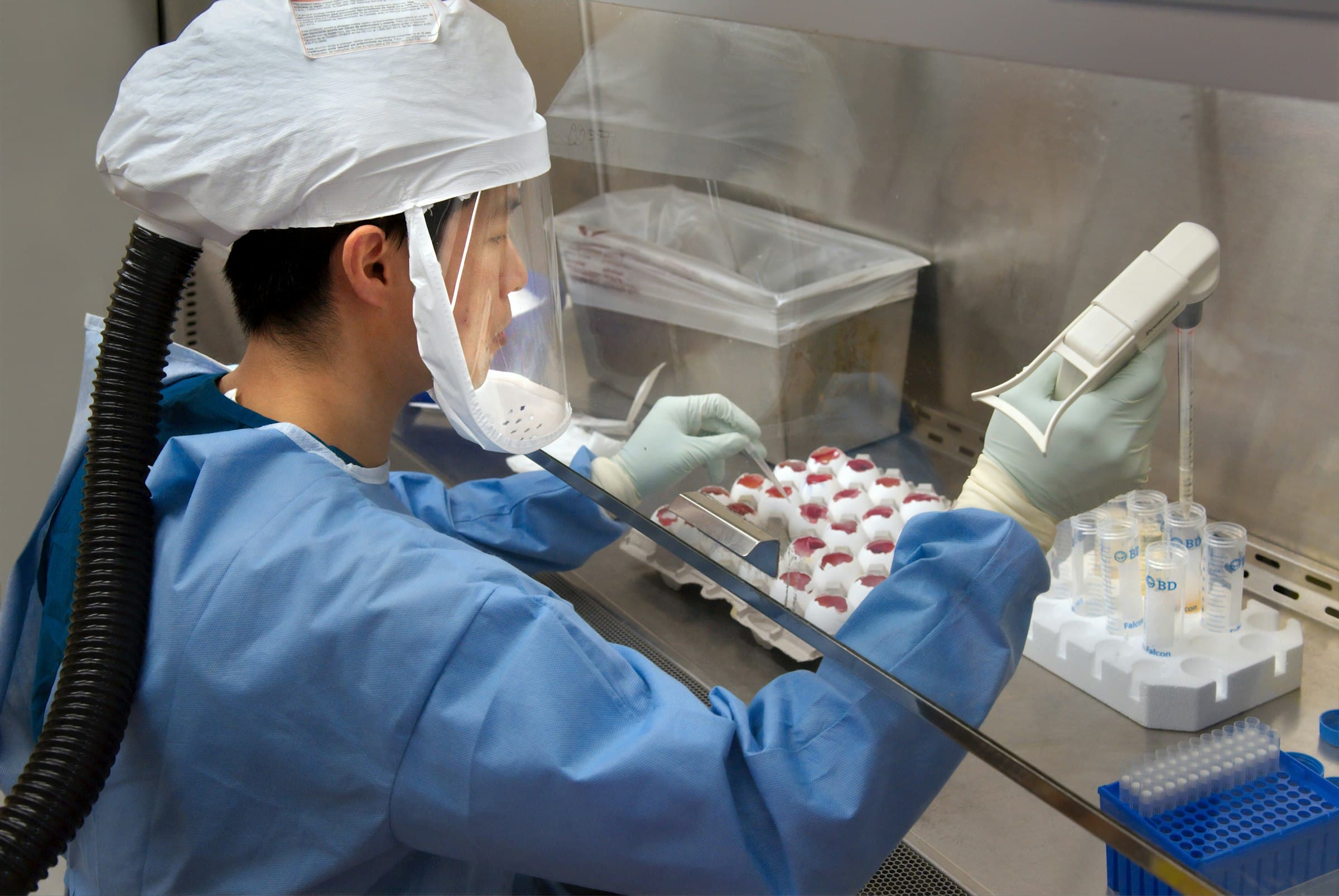 Pharmaceutical R&D