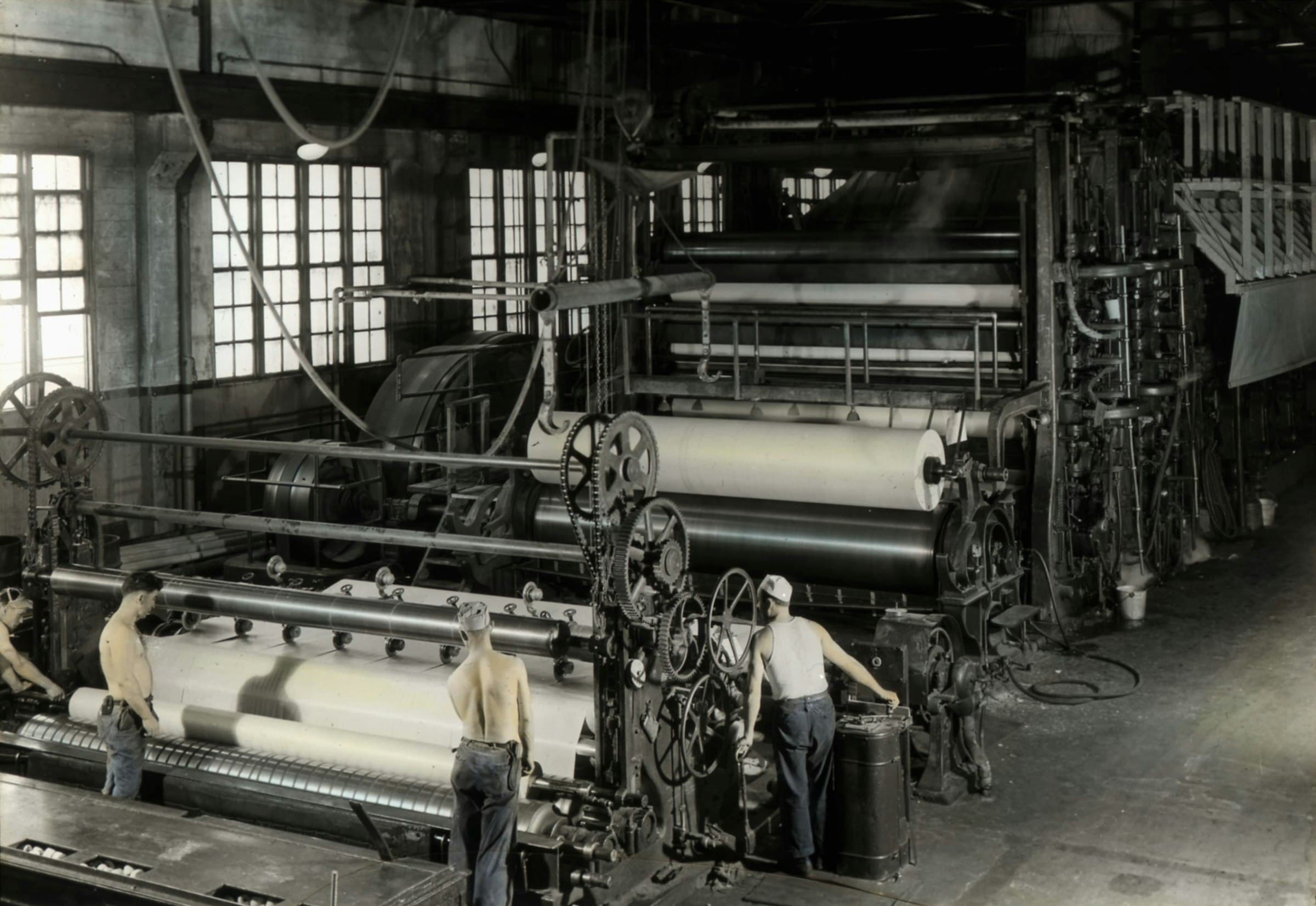Pulp & Paper